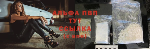 ПСИЛОЦИБИНОВЫЕ ГРИБЫ Верея