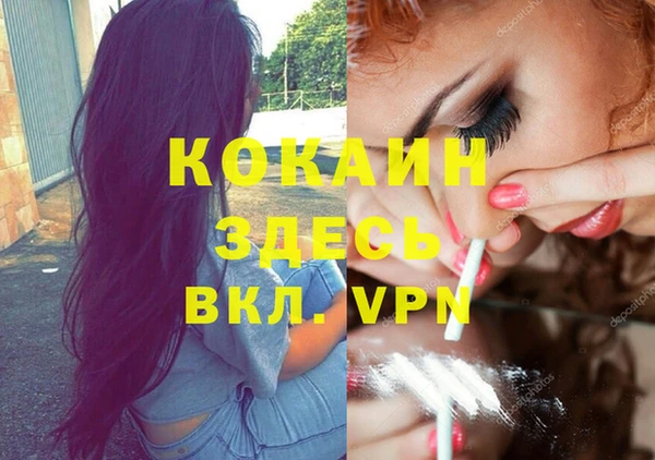 ПСИЛОЦИБИНОВЫЕ ГРИБЫ Верея