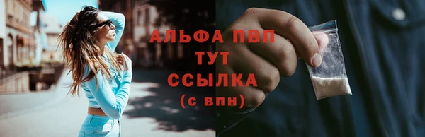 ПСИЛОЦИБИНОВЫЕ ГРИБЫ Верея