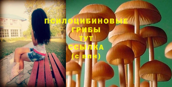 гашик Верхний Тагил