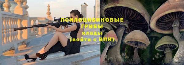 гашик Верхний Тагил
