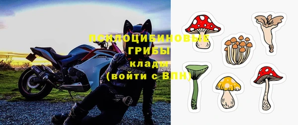 ПСИЛОЦИБИНОВЫЕ ГРИБЫ Верея