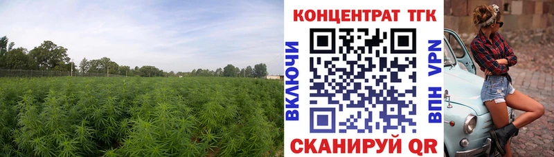 Купить  Кубинка  Дистиллят ТГК жижа 