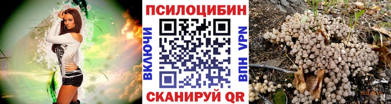 Купить закладки  Кубинка  Галлюциногенные грибы MAGIC MUSHROOMS 